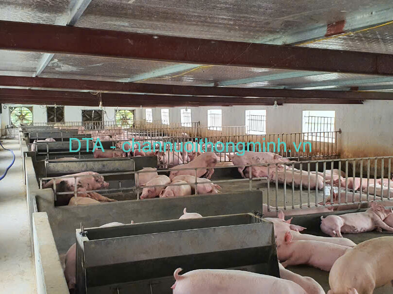 phan-mem-quan-ly-trang-trai-lon